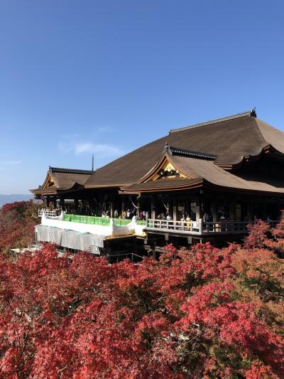 京都大阪へ2020年11月2泊3日その1