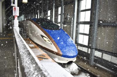 《新幹線で北陸一人旅》 初の北陸やのに雪降りすぎ