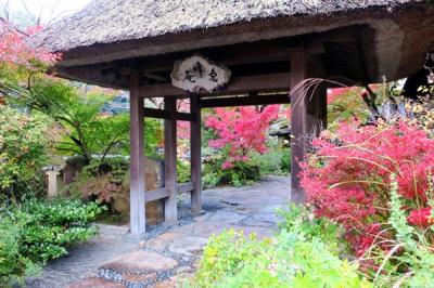 京都旅行2020Nov③すみや亀峰菴の食事