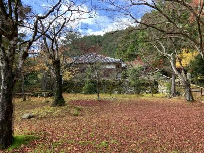 京都高雄（定期観光バスと二条城）