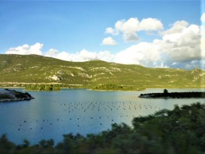 煌めきマルタとクロアチア優雅な旅♪　Vol.109　☆ペリェシャツ半島から美しい風景の中をドブロヴニクへ♪