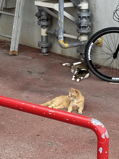 2回目の沖縄一人旅