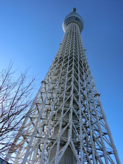 Go to トラベル 中止でも、旅は実行！　浅草で年越し　後編