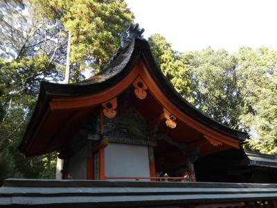 京田辺 天王 朱智神社(Shuchi-jinja Shrine, Tenno,  Kyotanabe,  Kyoto, JP)