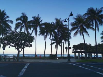 5泊7日コンドミニアム、アストンワイキキサンセットに泊まる!KCCファーマーズマーケット編④