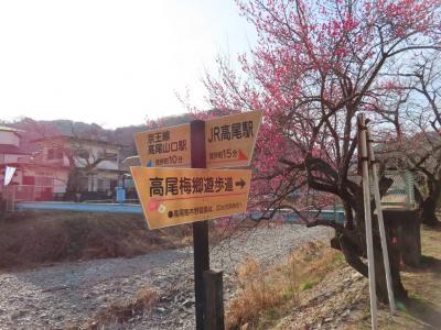 爺二人、三密を避けてポタリング 高尾駅・高尾山麓・高尾梅郷遊歩道・吾衛門編 八王子 2021/02/10　