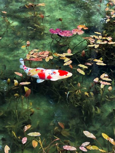 全てが白く。豪雪白川郷【前半】