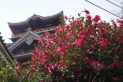 20210212-4 京都 伏見桃山城に行ってみます…なんか、少し廃墟な感じも？