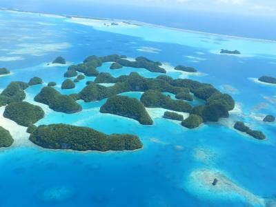 パラオ 世界遺産 に関する旅行記 ブログ フォートラベル パラオ Palau パラオ 世界遺産 に関する旅行記 ブログ フォートラベル パラオ Palau