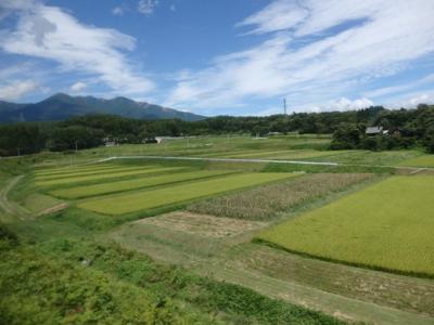 １８きっぷで行く、夏の甲信旅行 ③ [2日目] (夏の終わりの松本城、清里の自然)