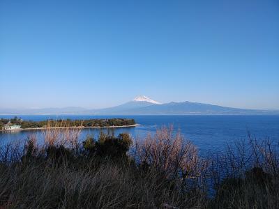 伊豆２０２１早春旅行記　【１】西伊豆１（戸田）