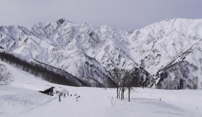 白馬五竜・47で一滑り