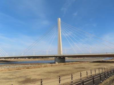 爺二人、三密を避けて、多摩川との合流地点まで浅川土手をポタリング 2021/02/13