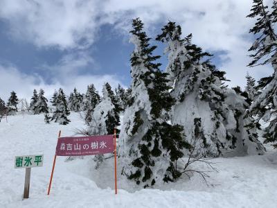 ゴンドラ山歩で樹氷鑑賞＆あめっこ市