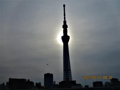 浅草・上野・深川のグルメ：東京スカイツリーの写真