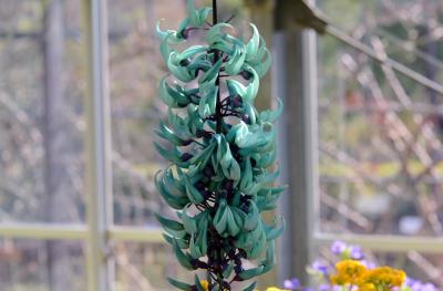 和歌山県植物公園「緑化センター」に遊ぶ