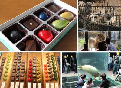 宝石のようなチョコを食べながら2020年の旭山動物園の想い出を振り返る　旭川市