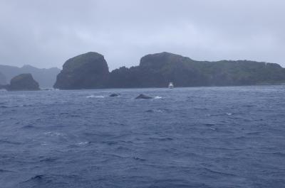 小笠原諸島・父島の旅　後編