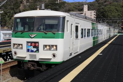 さよなら185系「踊り子」撮影記