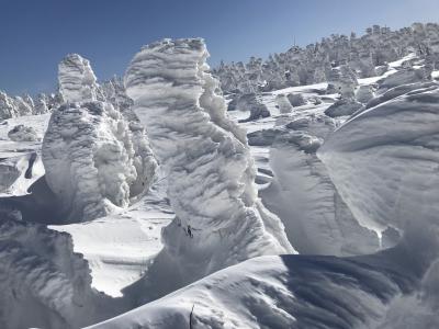 厳冬期登山　今年も恒例の八甲田