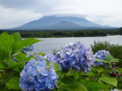 幻の富士六湖の赤池を見てきた！&amp;そのまま南部町方面へ