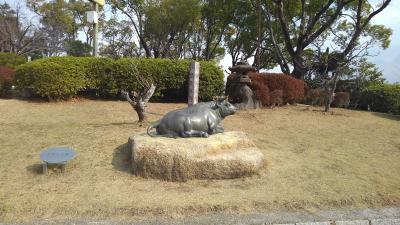 花を探しに散歩に行きましたが・・