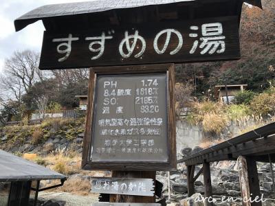 みたび九州、今度は横断☆温泉の旅☆【4】地獄温泉 青風荘＜旧：清風荘＞（2020）