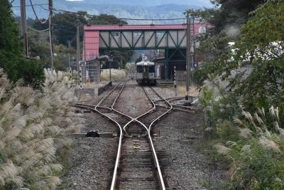 羽越・米坂線に乗り飯豊梅花皮荘へ2020～鉄道旅と白い森の国「小国」～（新潟・山形）