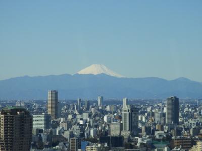 ２０２１年２月 東京のホテルで巣籠もり その５