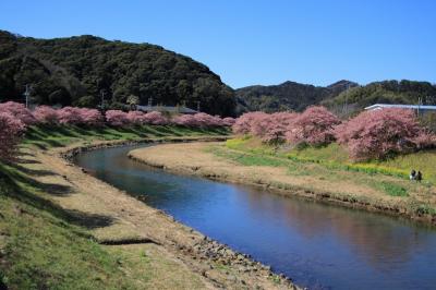 伊豆半島春ドライブ