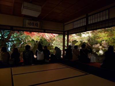 京都　高台寺ライトアップ
