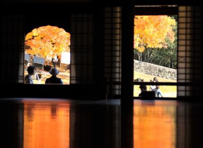 学び舎の床もみじ～閑谷学校の櫂の木