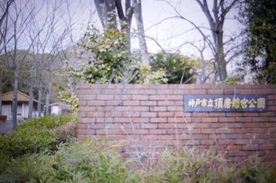 梅を見に離宮公園植物園