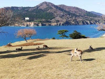 たまにはベタな観光旅行2011　　「GoTo利用で、石巻（日和山公園）＆金華山＆石巻焼きそば＆牛タン＆笹かまぼこ＆萩の月」　～宮城～