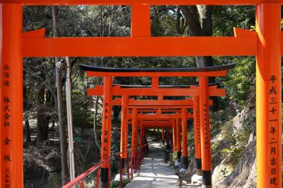 20210222-2 京都 久しぶりの上賀茂神社は、なんだか雰囲気が変わり？