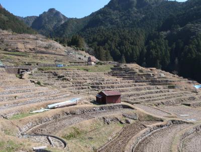 熊野市一人旅　1日目（丸山千枚田・熊野古道 通り峠→獅子岩→花窟神社）