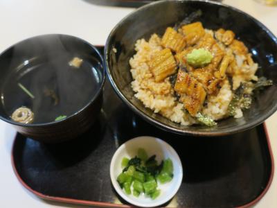 姫路城 特別公開を見に行く