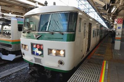 惜別「185系」（おまけで1年前のE251系も）