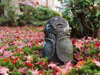 秋の京都で紅葉三昧 今度は女子旅　(1) 圓光寺・詩仙堂のお地蔵様と北野天満宮のライトアップ