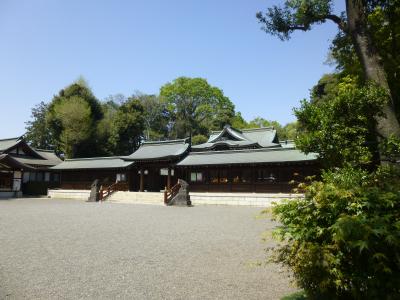 桜と八幡様　サイクリング散歩 in 荻窪～井草　ボートで湖上散歩も