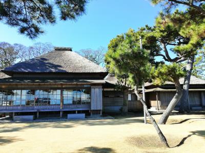 野島公園展望台から富士山を眺め　&#10049;　コストコで買い物