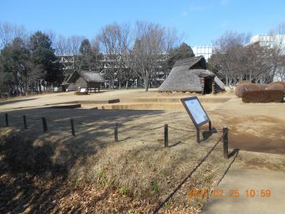 大塚・歳勝土遺跡を訪ねて