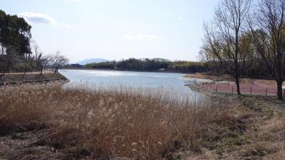 巨大な聖徳太子から潜水橋まで歴史の道沿いを行く