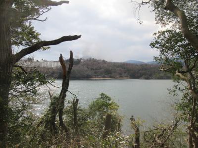 大室山・山焼き