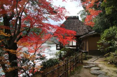 ２０年ぶりの愛媛！城廻りと散策の旅－４日目前半