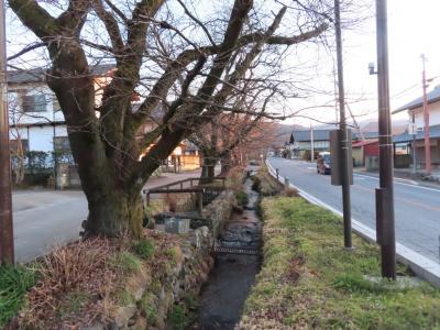 爺二人、相棒の運転で織田氏七代の墓/旧小幡藩武家屋敷/中小路/城下町/道の駅甘楽/上州福島駅観光 2021/02/24