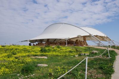 地中海の真ん中にあるマルタ島（９）　　　　巨石遺跡ハジャーイム神殿