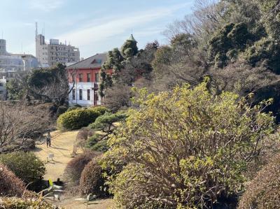 早春の小石川植物園