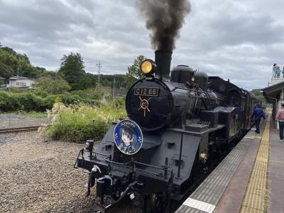 【2020年秋の乗り鉄】真岡鐡道・鹿島臨海鉄道(一部)