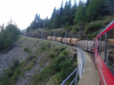 絶景が広がるアルプスの山歩きと鉄道の旅：スイス、リヒテンシュタイン旅行【４８】（2019年秋 ８日目② 爆走、混合列車）